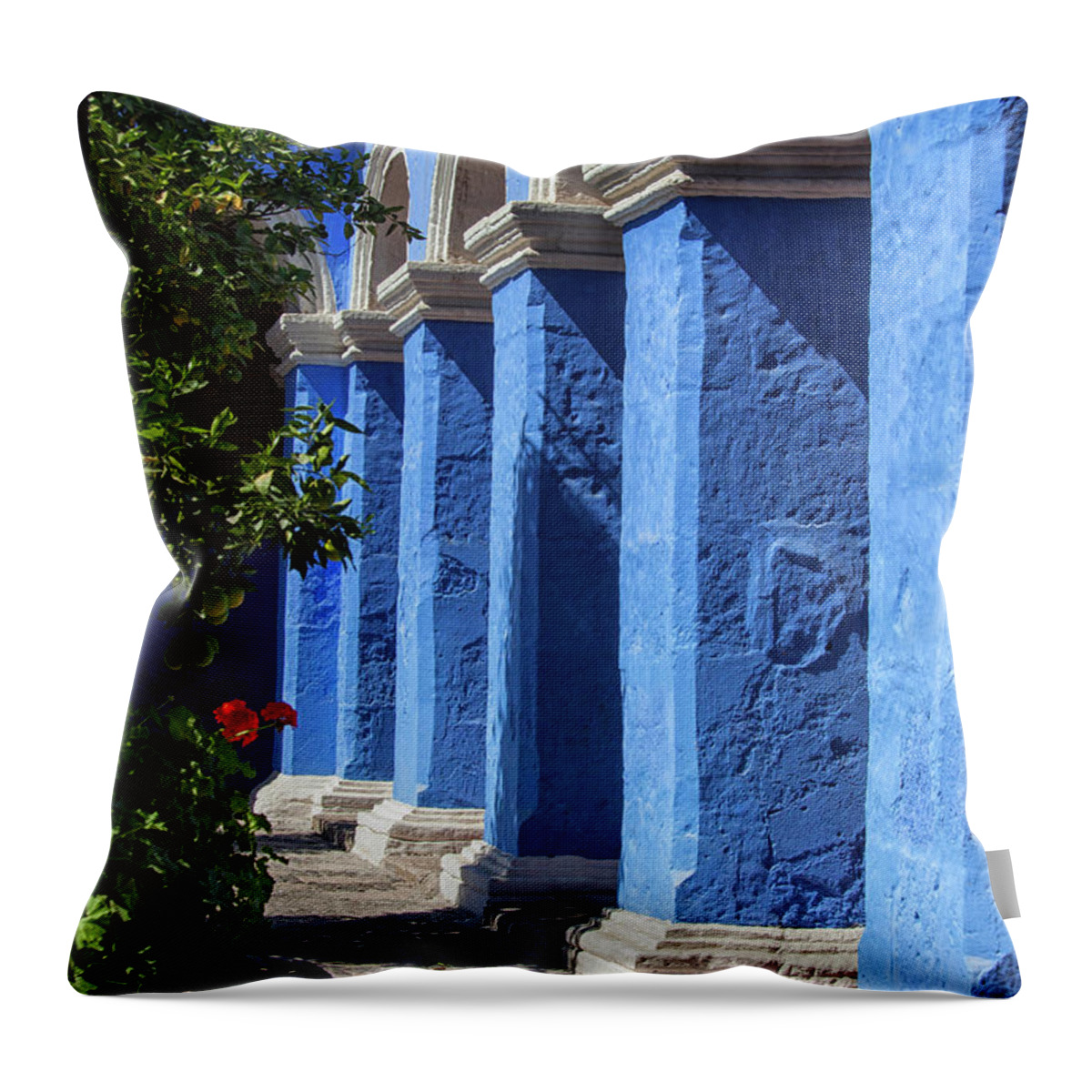 Still Life Throw Pillow featuring the photograph Blue monastery by Patricia Hofmeester
