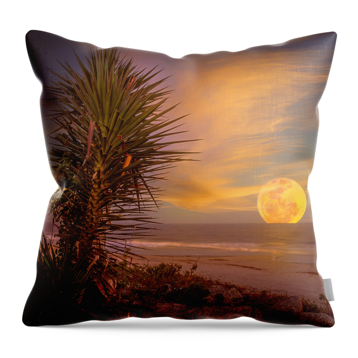 Landscape Throw Pillow featuring the photograph Blue Moon Rising on St. Simons by Chris Bordeleau