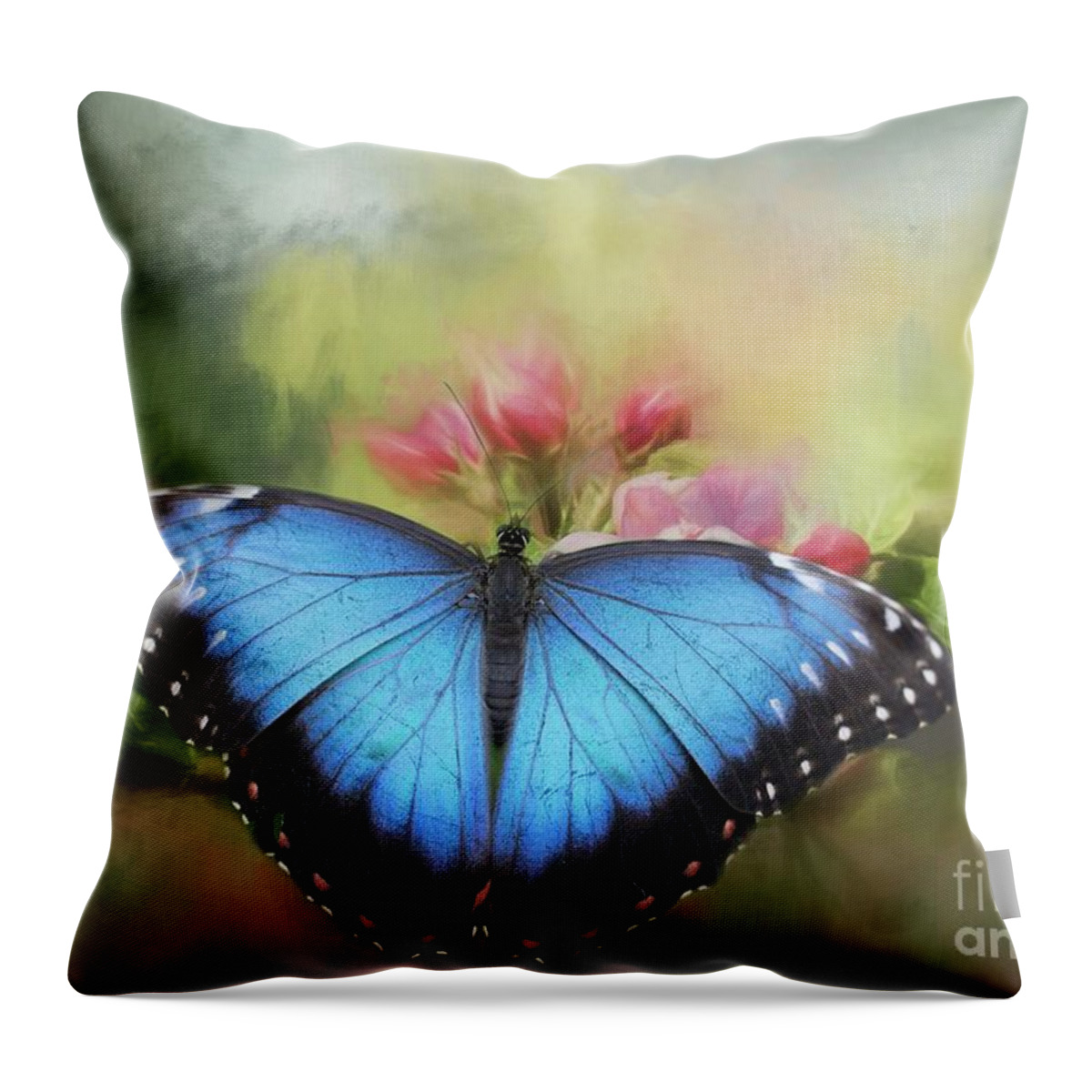 Blue Morpho Throw Pillow featuring the photograph Blue Morpho on a Blossom by Eva Lechner