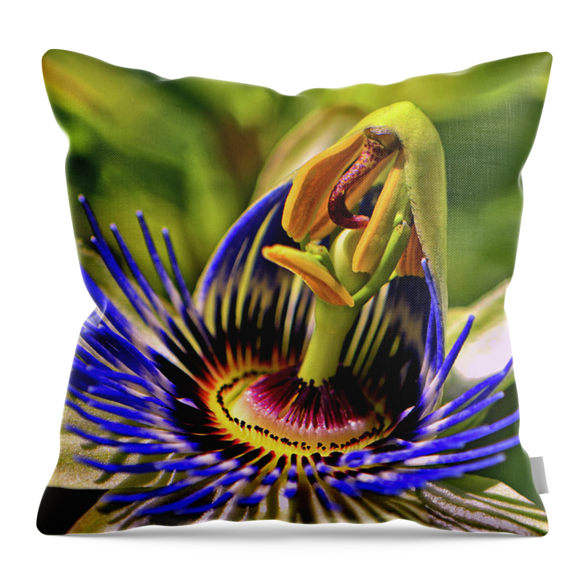 Passion Flower Throw Pillow featuring the photograph Blue Passion Flower - Still Opening 001 by George Bostian