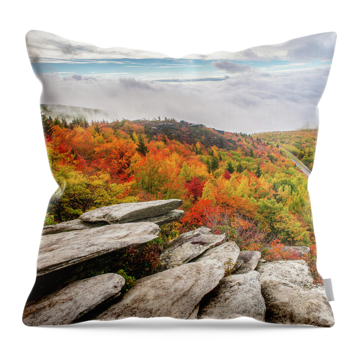 Landscape Throw Pillow featuring the photograph Blue Ridge Parkway NC Rough Ridge Autumn by Robert Stephens