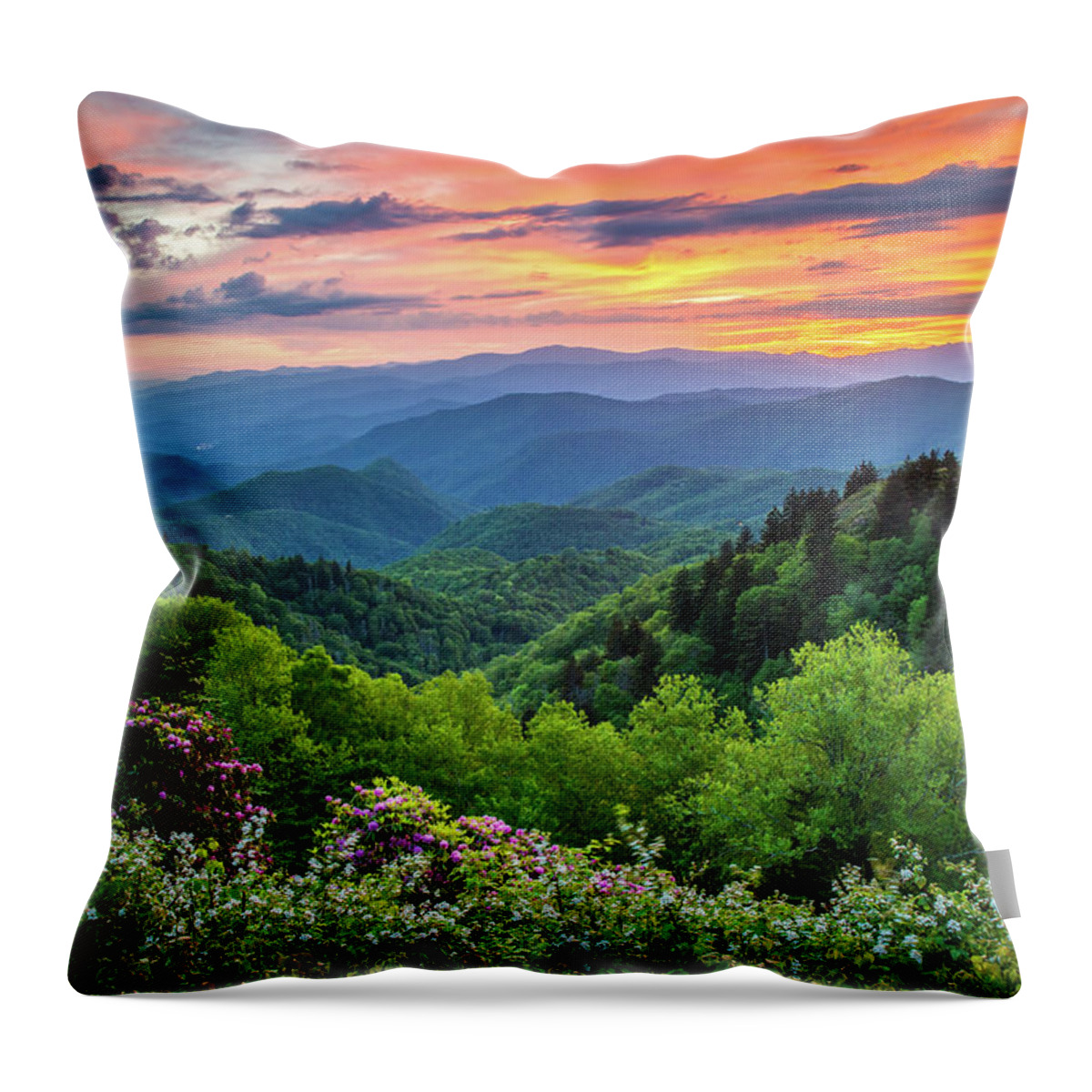 Landscape Throw Pillow featuring the photograph Blue Ridge Parkway NC Spring Kaleidoscope by Robert Stephens