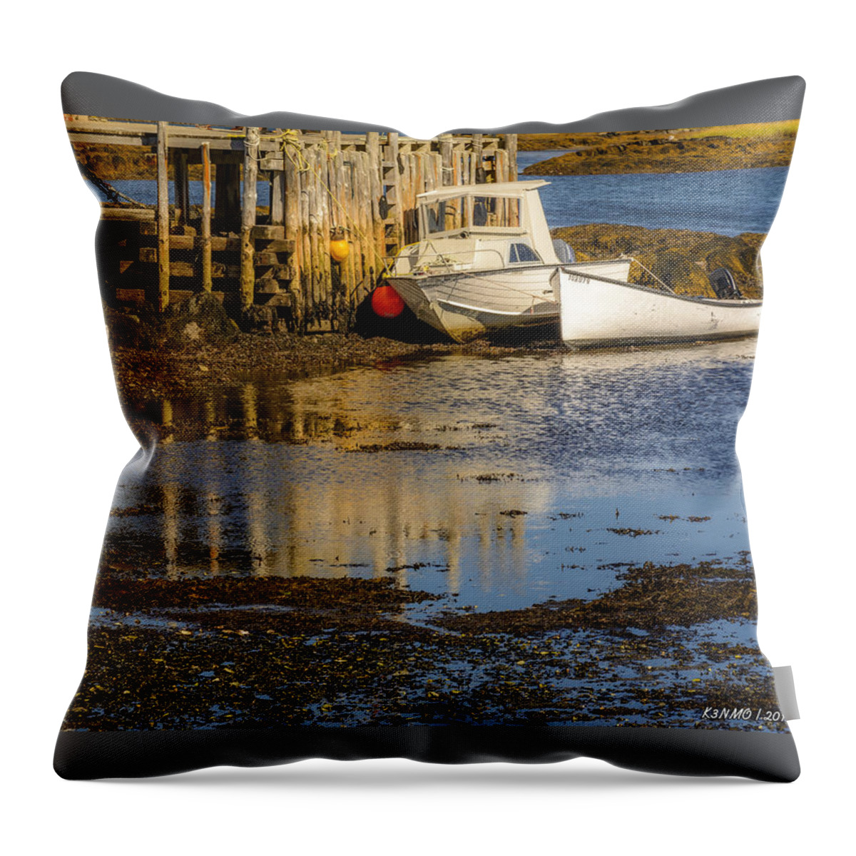 Lunenburg County Throw Pillow featuring the photograph Blue Rocks, Nova Scotia #2 by Ken Morris