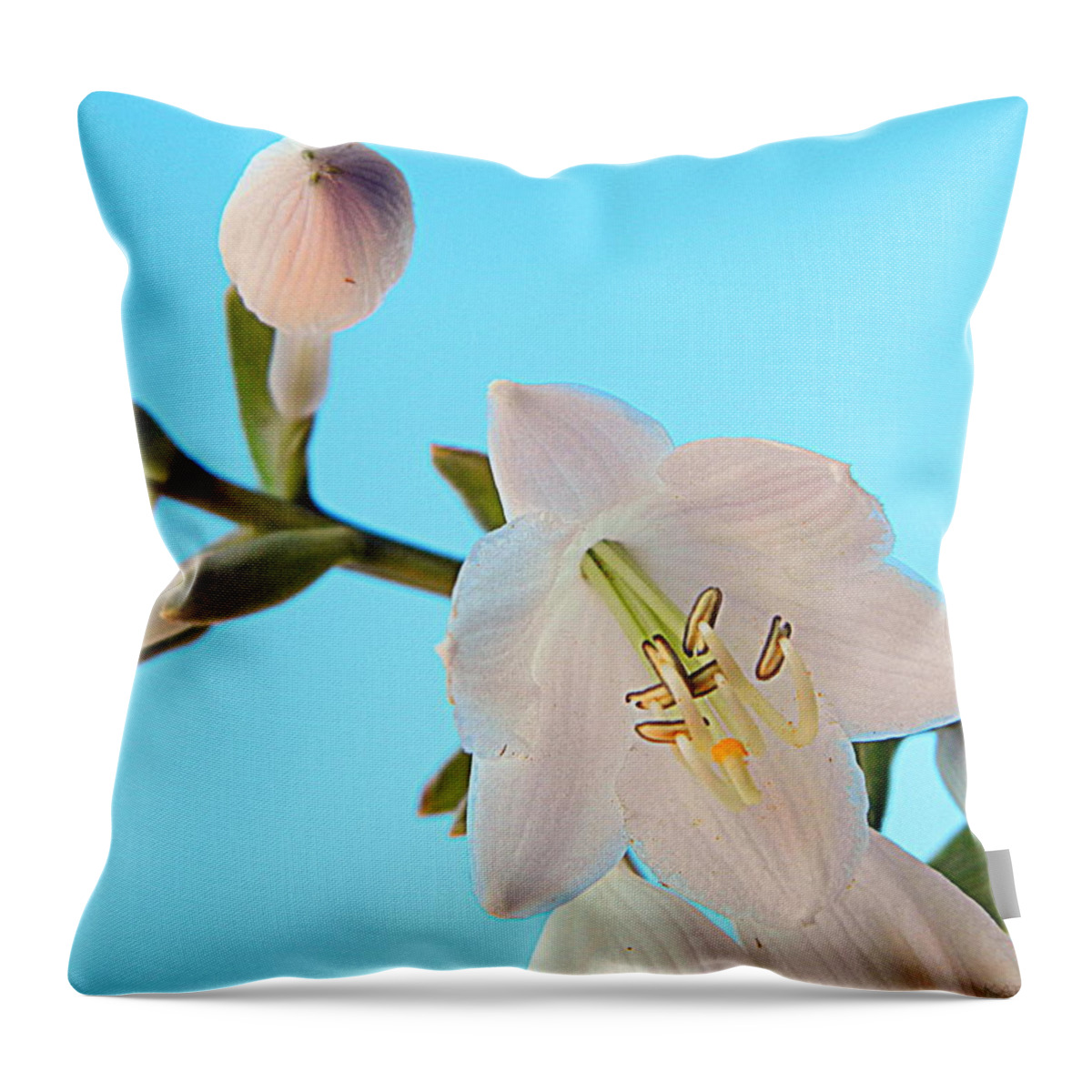 Bloom Throw Pillow featuring the photograph Blue Sky Hosta Beauty by Kathy Barney
