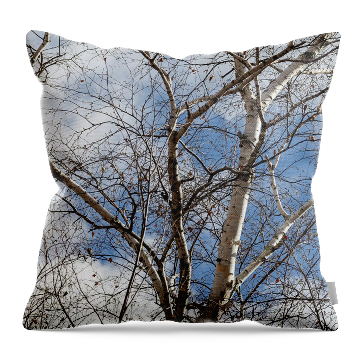 Birch Trees Throw Pillow featuring the photograph Blue Sky in the Middle - by Julie Weber