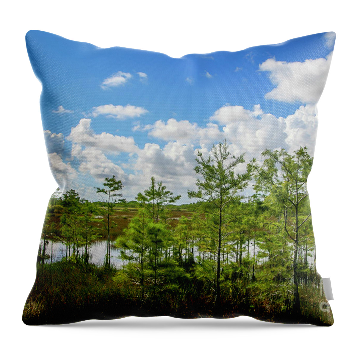 Sky Throw Pillow featuring the photograph Blue Sky Over Grassy Waters by Tom Claud