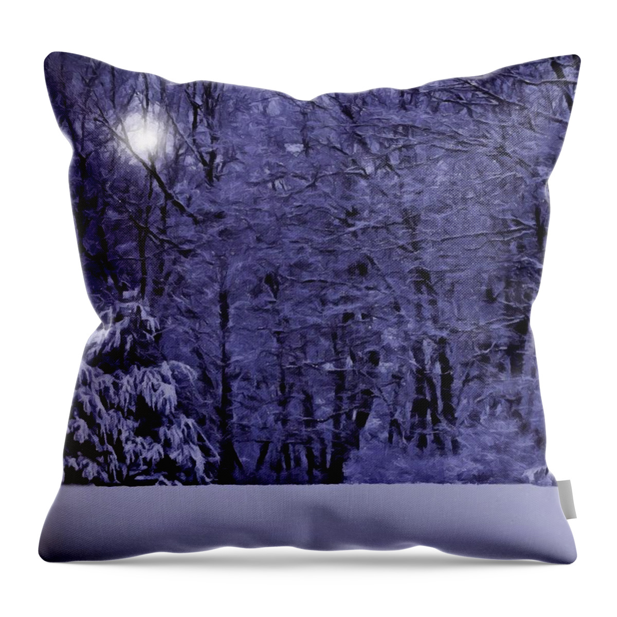 Snow Throw Pillow featuring the photograph Blue Snow by David Dehner
