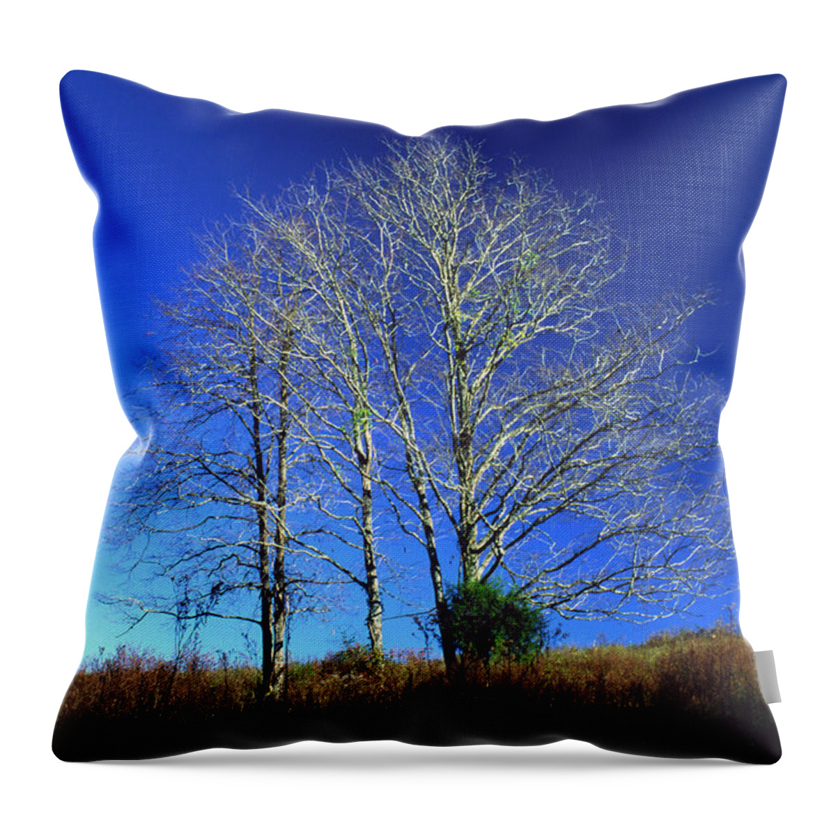 Landscape Throw Pillow featuring the photograph Blue Tree in Tennessee by Randy Oberg