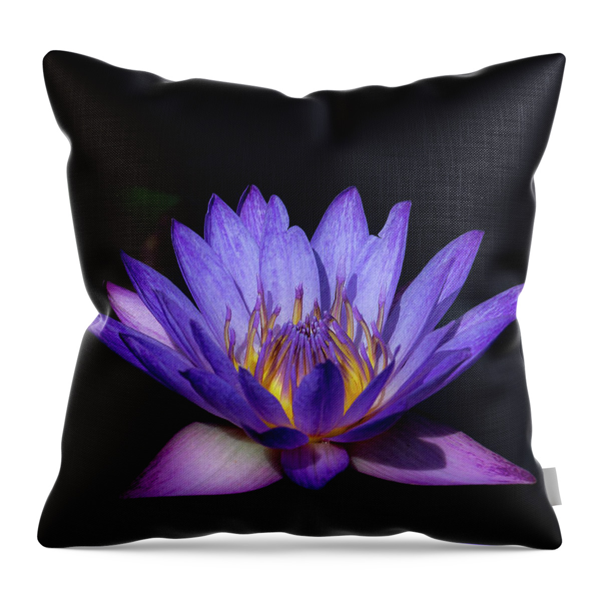 Flower Throw Pillow featuring the photograph Blue Water Lily by Andrea Silies