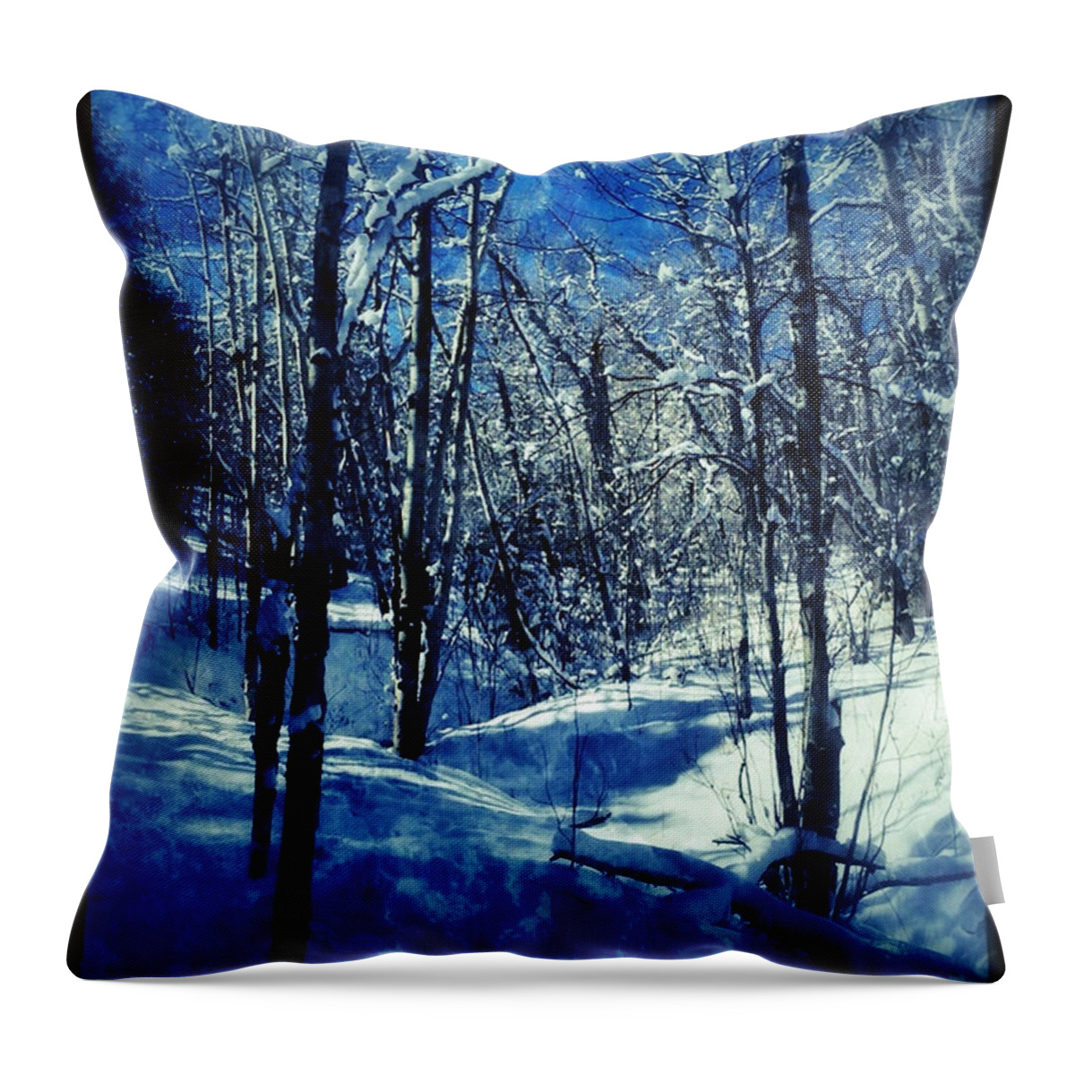 Blue Throw Pillow featuring the digital art Blue Winter II by Dan Miller