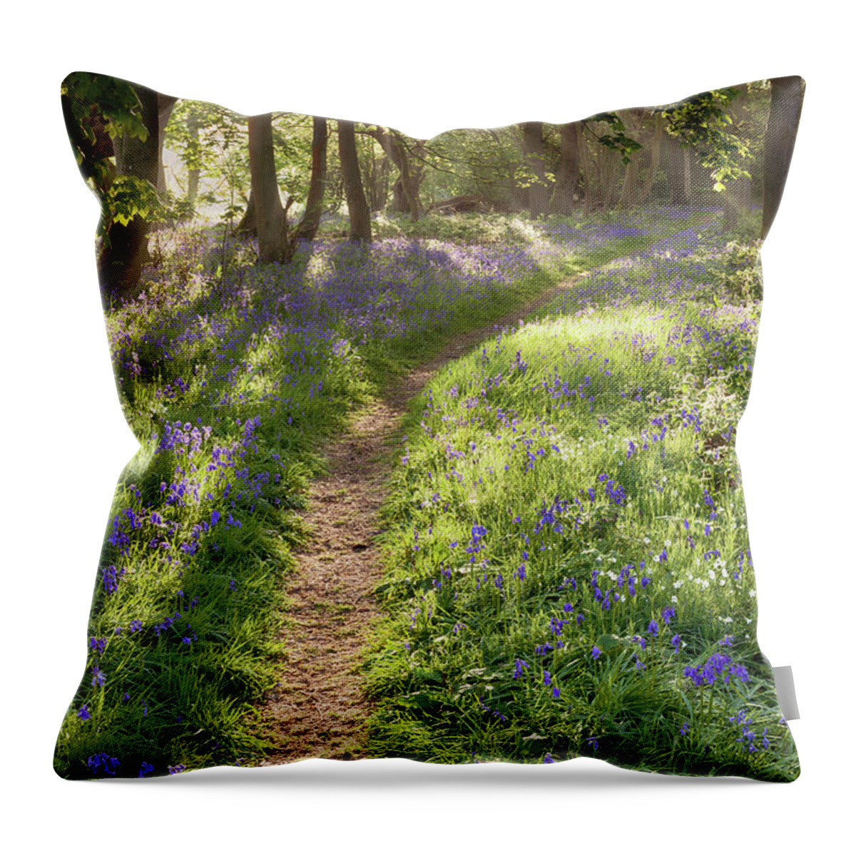 Bluebell Forest Throw Pillow featuring the photograph Bluebell woodland path with dreamy sunrise by Simon Bratt