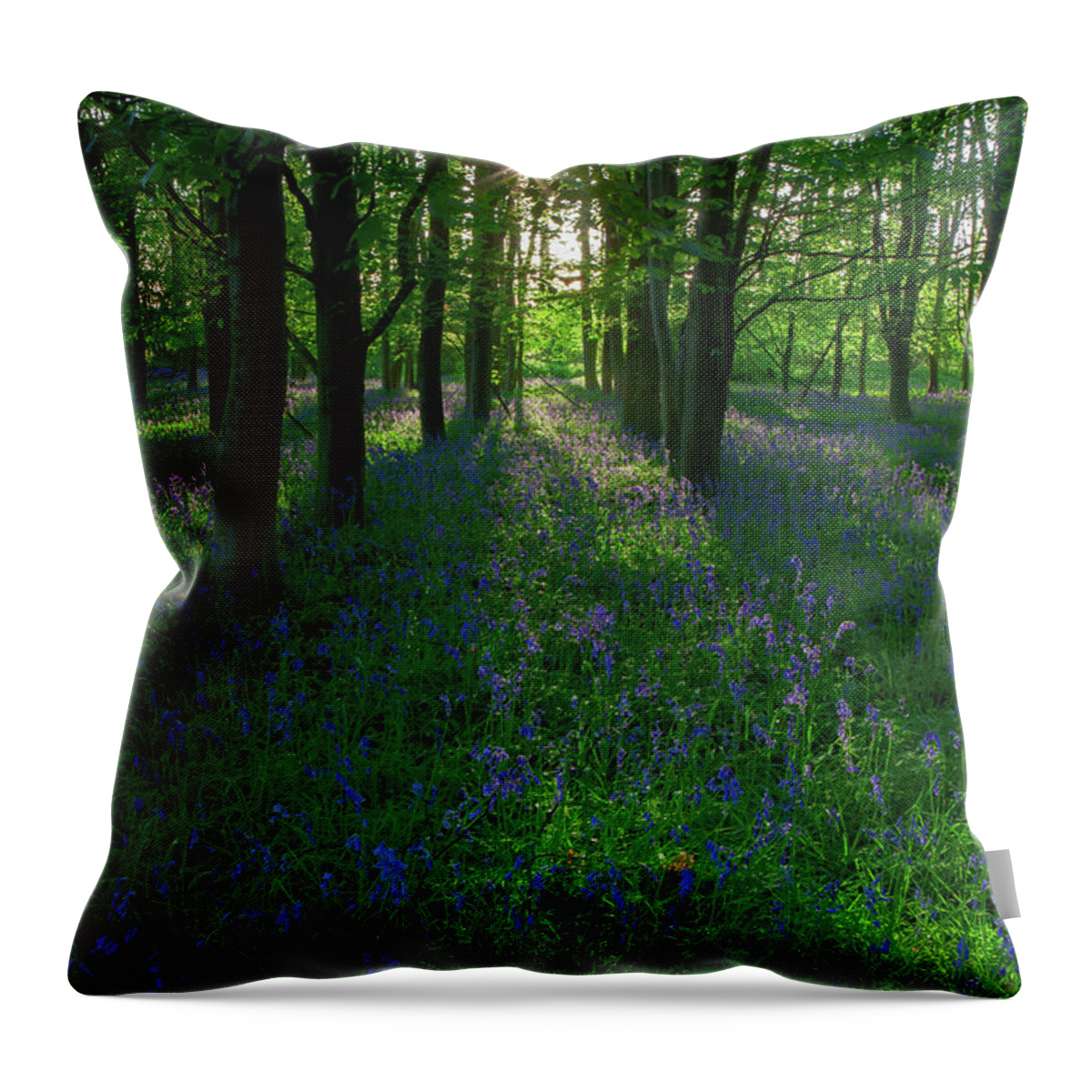 Bluebells Throw Pillow featuring the photograph Bluebells in Oxey Woods by Nick Atkin