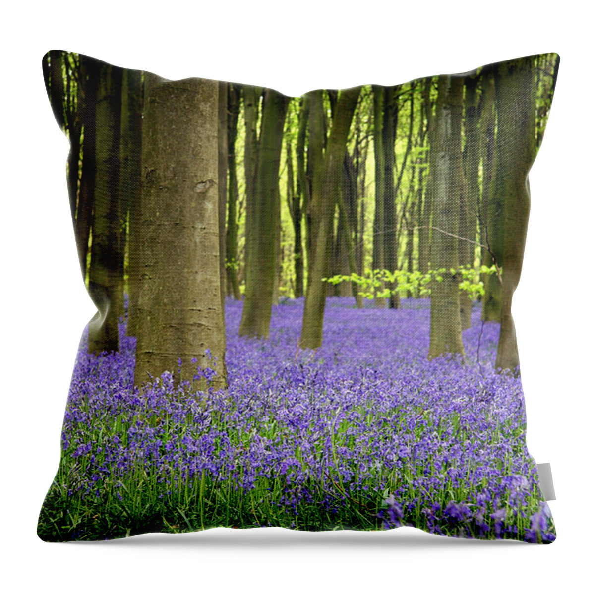 April Throw Pillow featuring the photograph Bluebells by Jane Rix