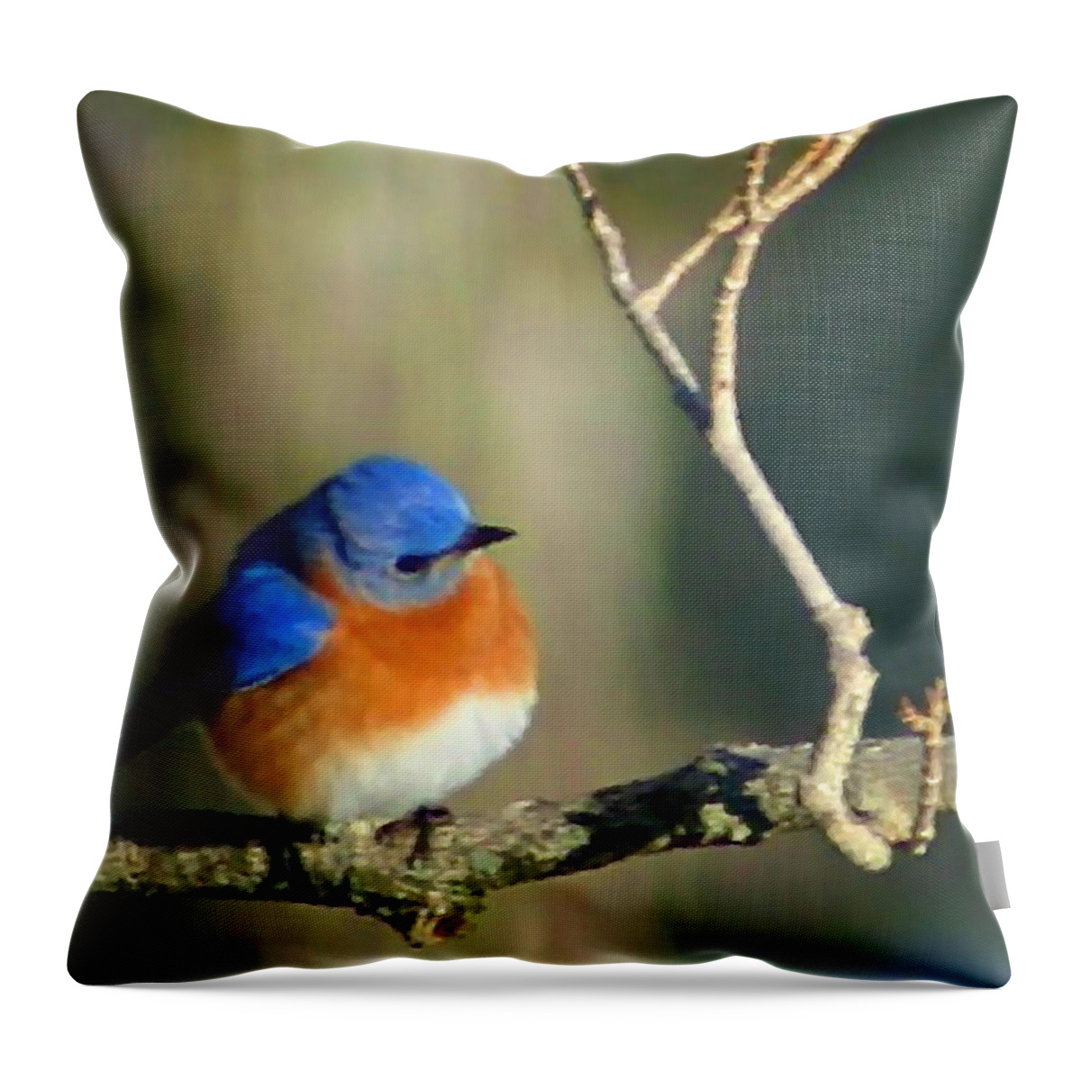 Bluebird Throw Pillow featuring the digital art Bluebird by Kristin Elmquist