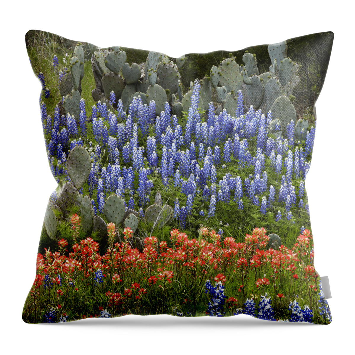 Mp Throw Pillow featuring the photograph Bluebonnet Paintbrush and Prickly Pear by Tim Fitzharris