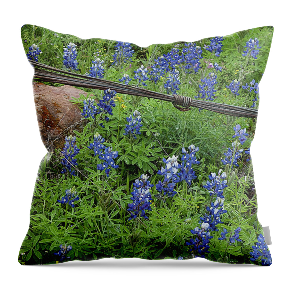 Austin Throw Pillow featuring the photograph Bluebonnets and Wire by Patti Schulze