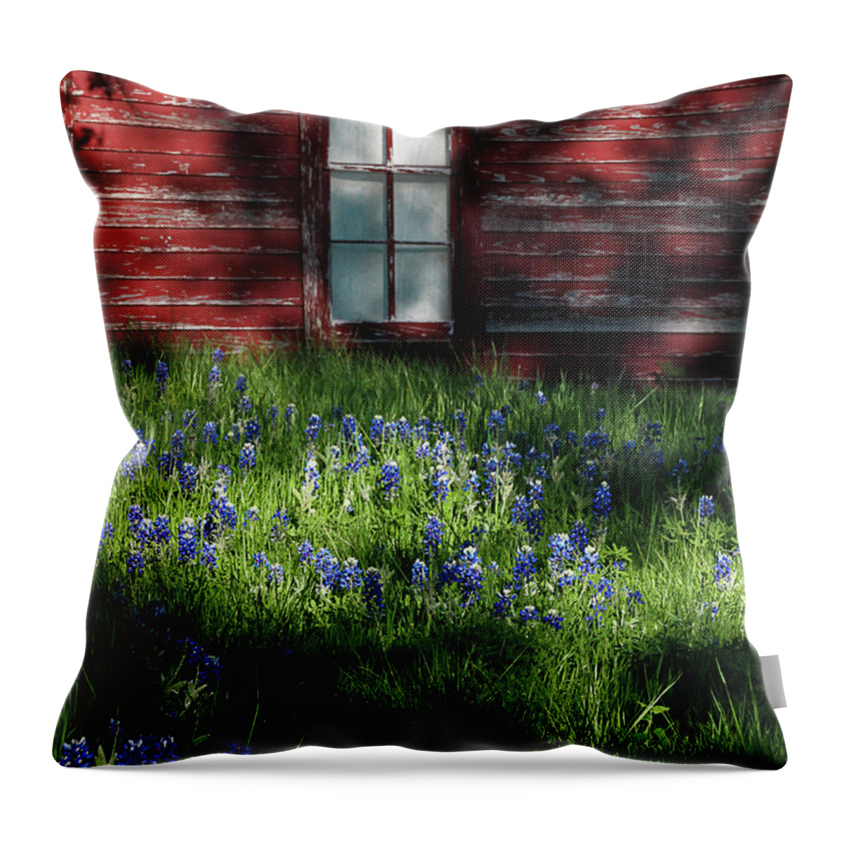 Architecture Throw Pillow featuring the photograph Bluebonnets in the Shade by David and Carol Kelly