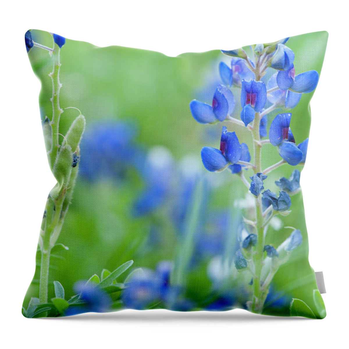 Flower Throw Pillow featuring the photograph Bluebonnets by Stephen Anderson
