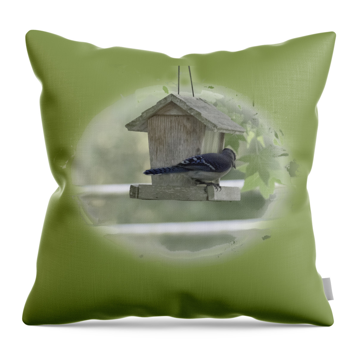 Jay Throw Pillow featuring the photograph Bluejay by Judy Hall-Folde