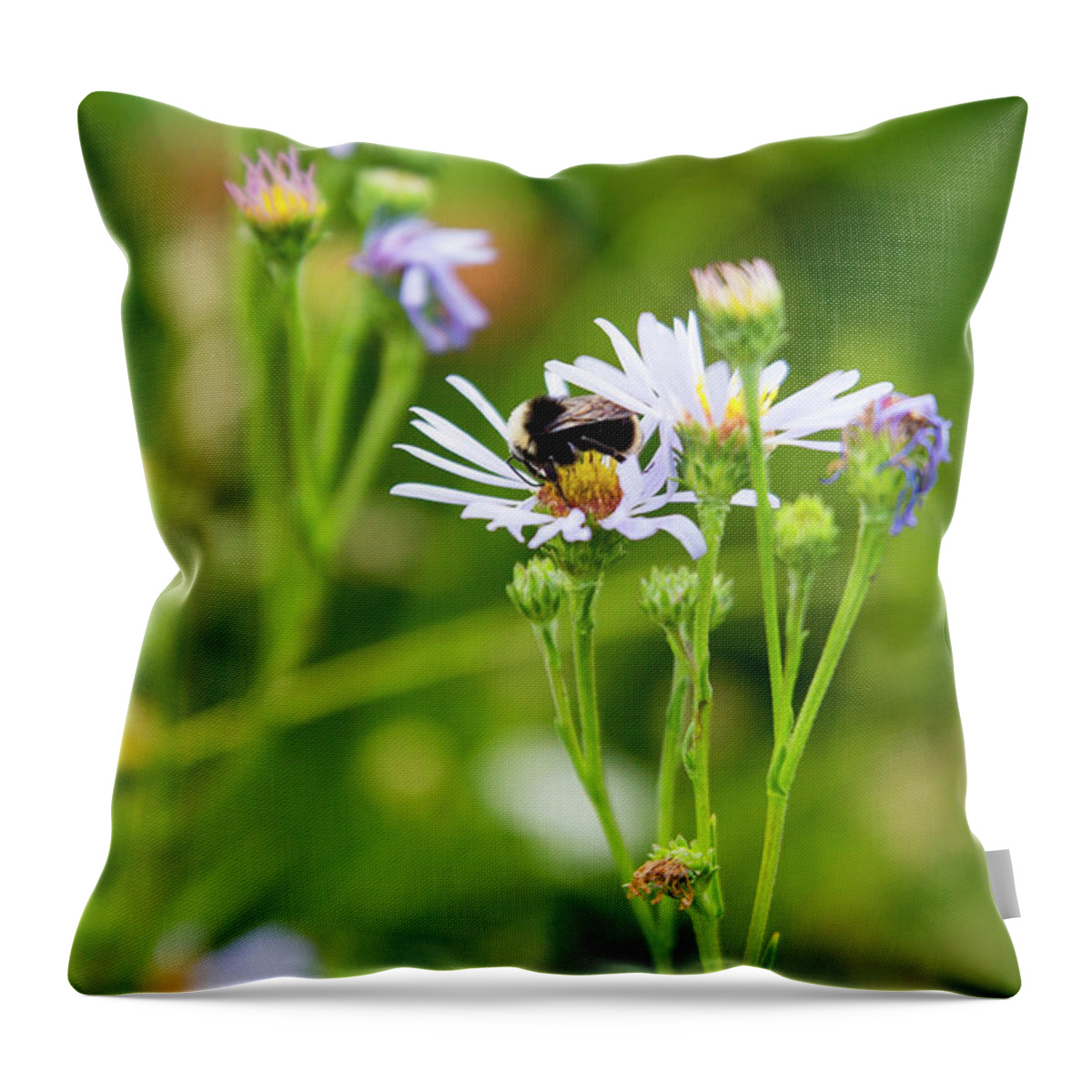 Wild Flowers Throw Pillow featuring the photograph Bluff Lake CA Wild Flowers 8 by Chris Brannen