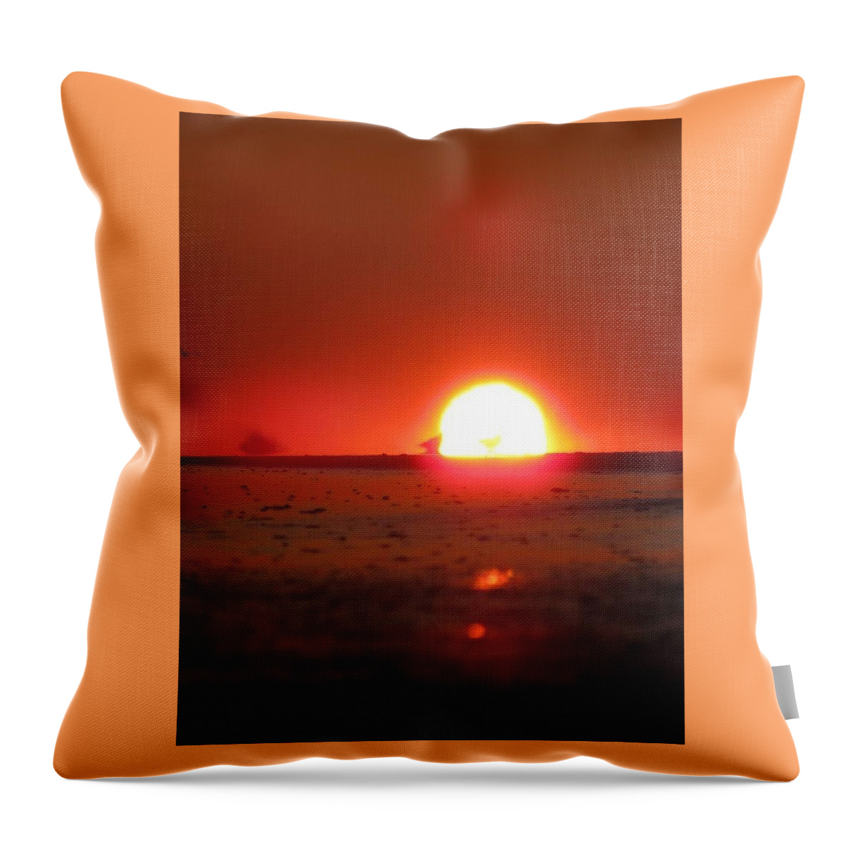 Sun Throw Pillow featuring the photograph Blurred Lines by Laura Henry