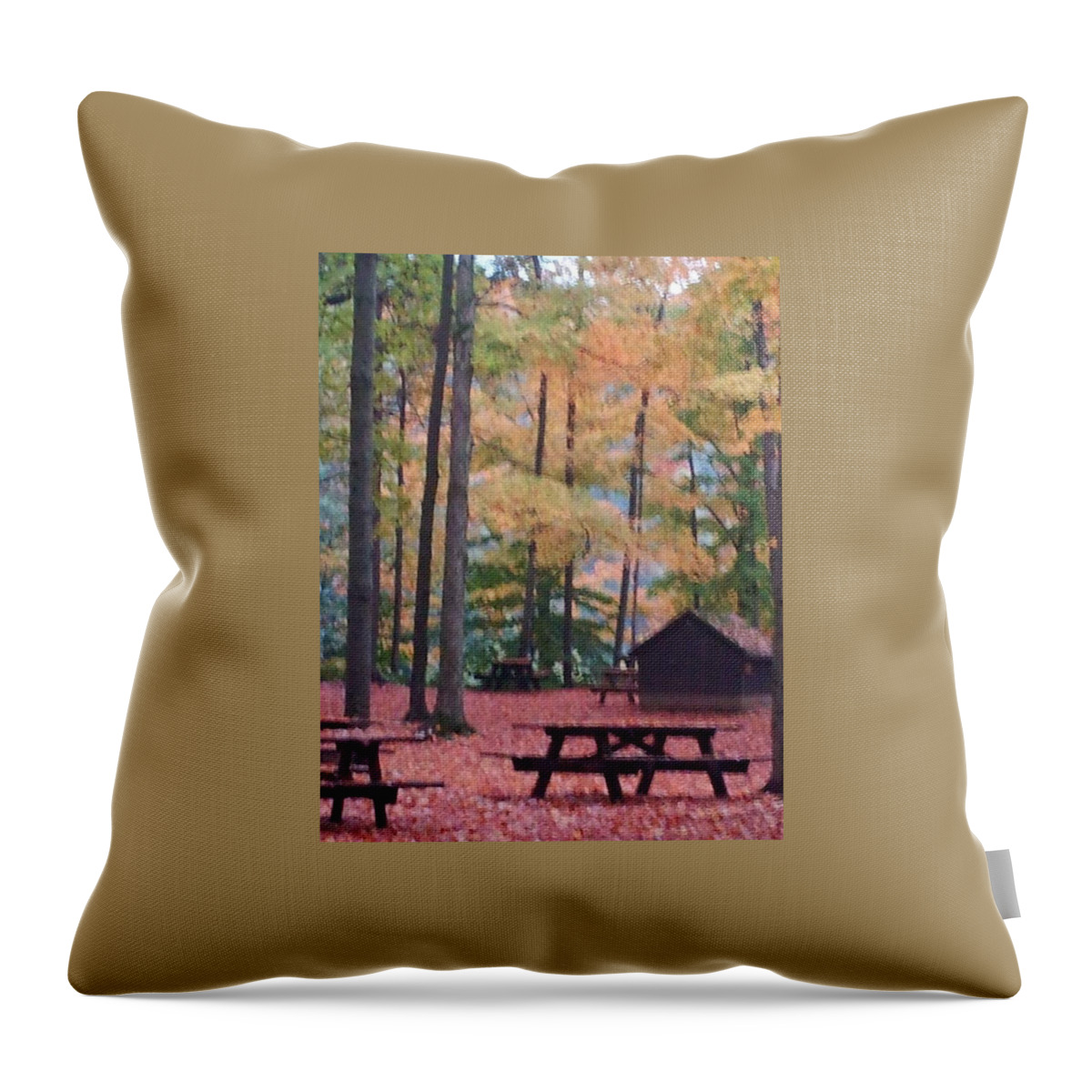Rain Throw Pillow featuring the photograph Blurred Moments by Dani McEvoy