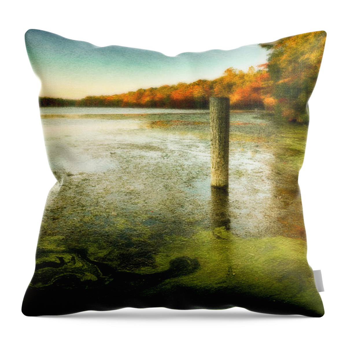 Blydenberg Park Throw Pillow featuring the photograph Blydenberg Park in the Fall by Alissa Beth Photography