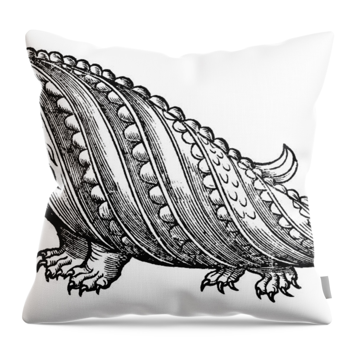 1604 Throw Pillow featuring the photograph Boar Whale by Granger