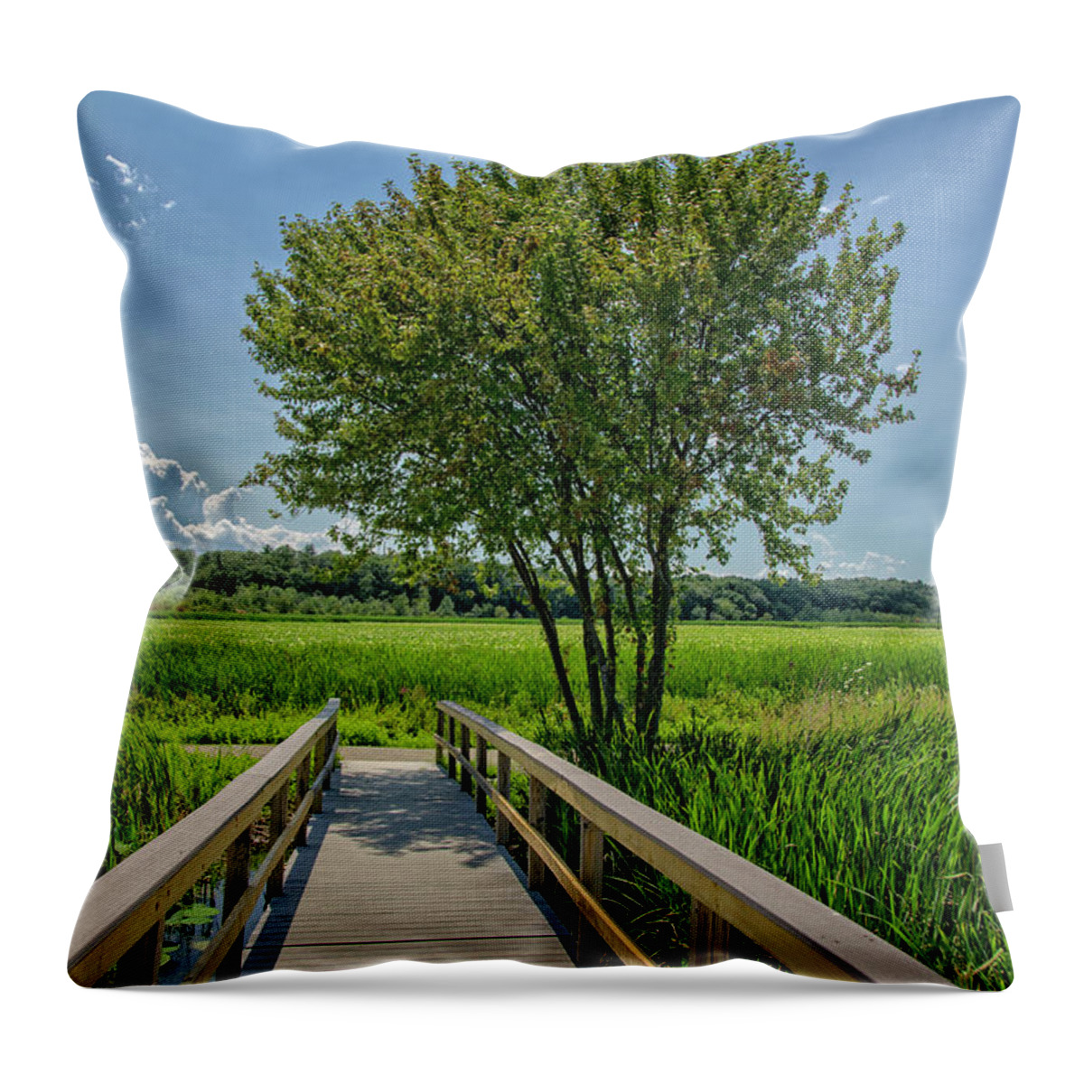 Landscape Throw Pillow featuring the photograph Boardwalk Beauty by Donna Doherty
