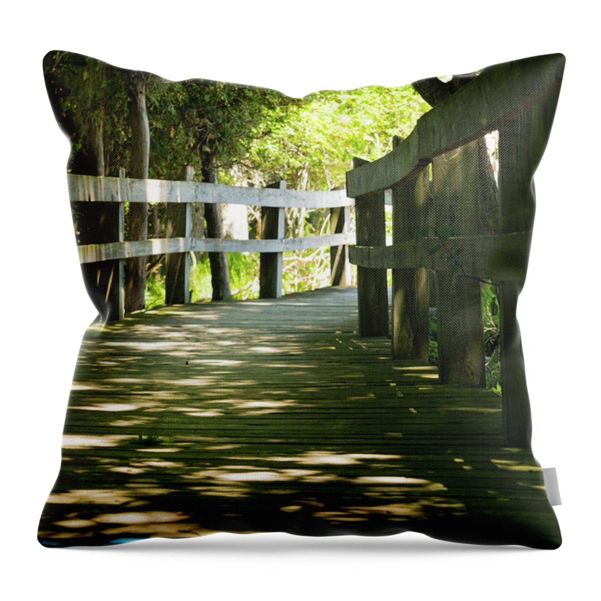 Landscape Throw Pillow featuring the photograph Boardwalk by Lester Plank