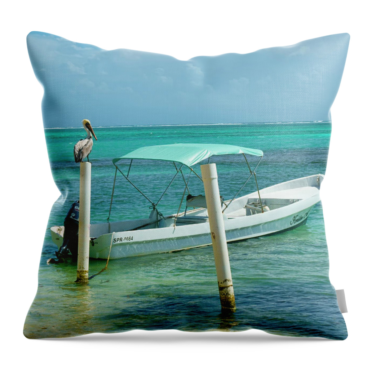 Belize Throw Pillow featuring the photograph Boat and Pelican on Ambergris Caye Belize by Waterdancer