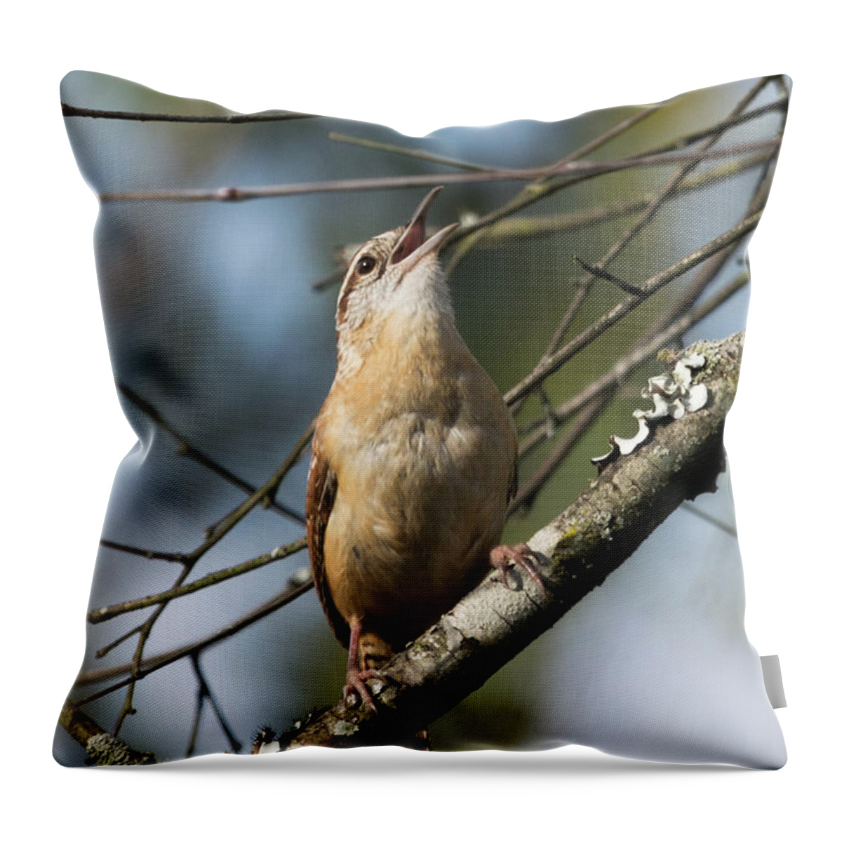 Bird Throw Pillow featuring the photograph Bobolink Singing by John Benedict