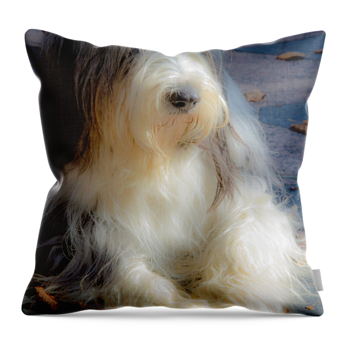 Bobtail Throw Pillow featuring the photograph Bobtail's nap by Wolfgang Stocker