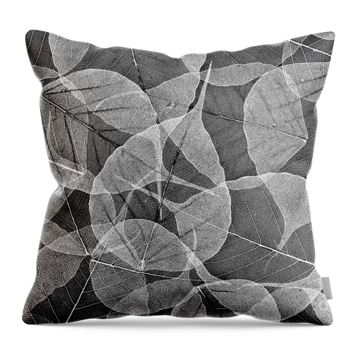 Skeleton Structure Throw Pillow featuring the photograph Bodhi Tree Leaves by Tim Gainey