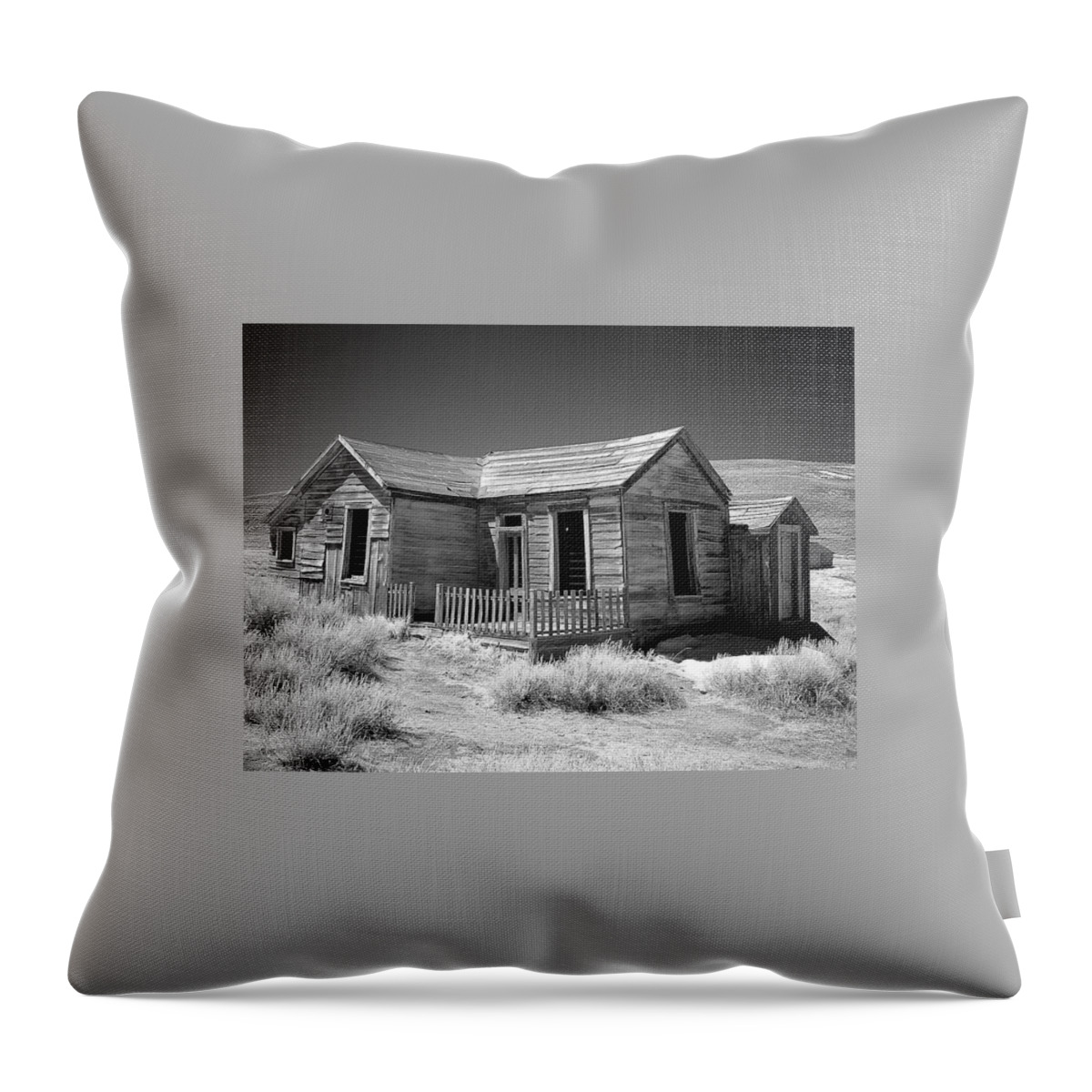 Landscape Throw Pillow featuring the photograph Bodie Starter Home by Duane Middlebusher