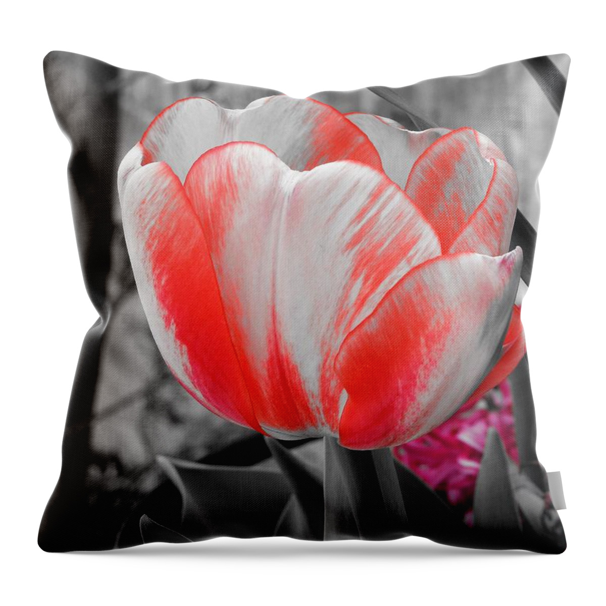 Tulip Throw Pillow featuring the photograph Bold Tulip by Chad and Stacey Hall