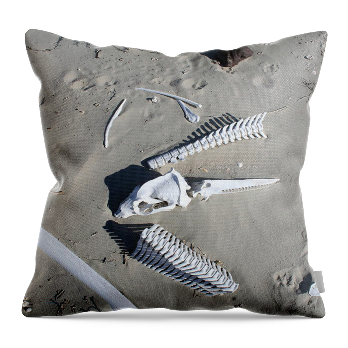 Bones Throw Pillow featuring the photograph Bones on the beach 1 by Laura Smith