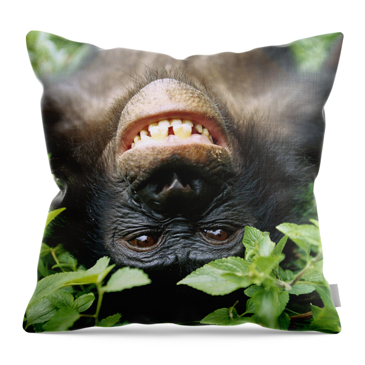 #faatoppicks Throw Pillow featuring the photograph Bonobo Smiling by Cyril Ruoso