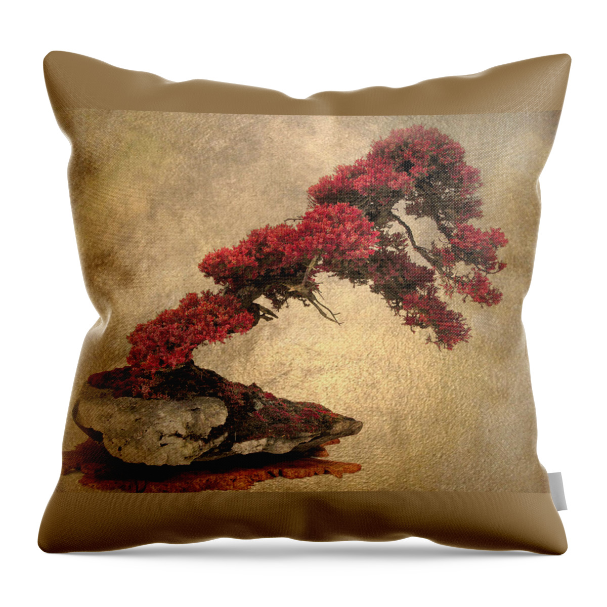 Bonsai Throw Pillow featuring the photograph Bonsai Display by Jessica Jenney