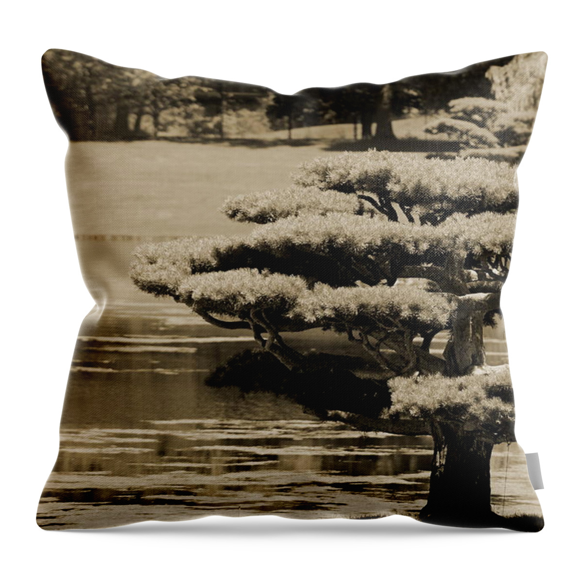 Bonsai Throw Pillow featuring the photograph Bonsai Tree Near Pond in Sepia by Colleen Cornelius