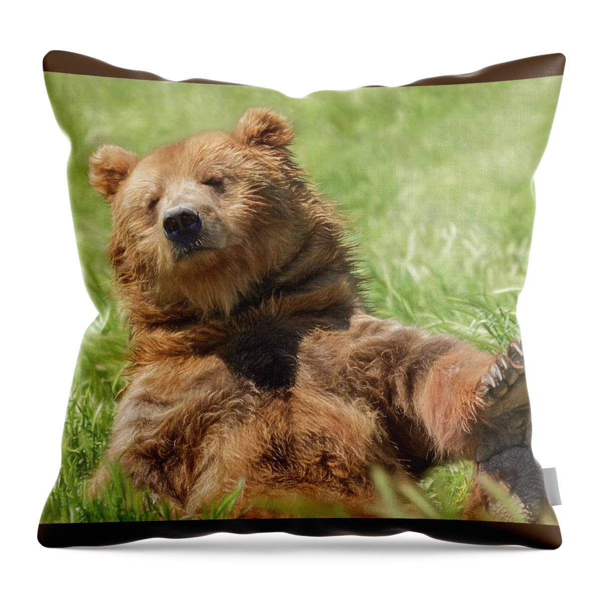 Boo Boo Bear Throw Pillow featuring the photograph Boo Boo Bear by Wes and Dotty Weber
