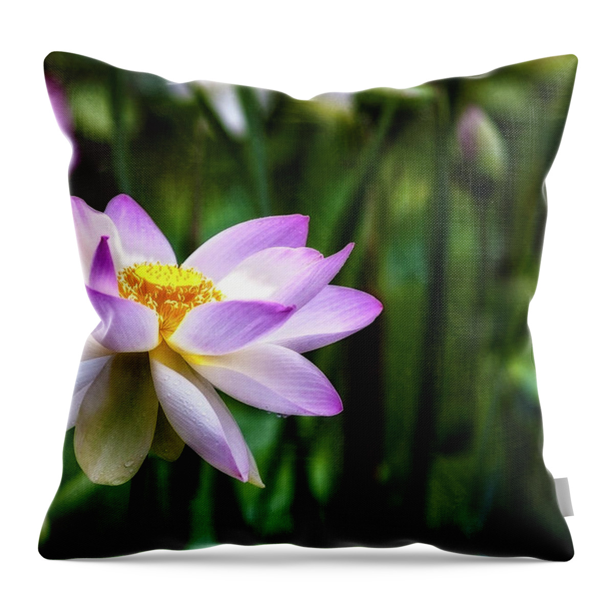 Lotus Throw Pillow featuring the photograph Born Of The Water by Edward Kreis