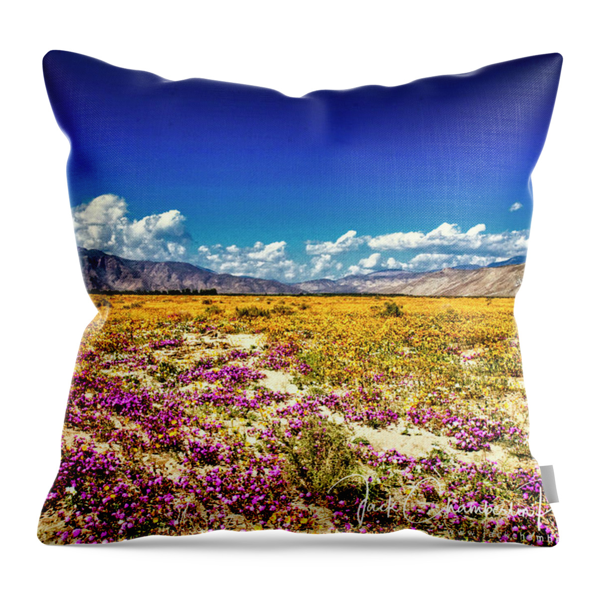 Anza Borrego Desert; Spring Wild Flowers Throw Pillow featuring the photograph Borrego Color by Jack Chamberlin