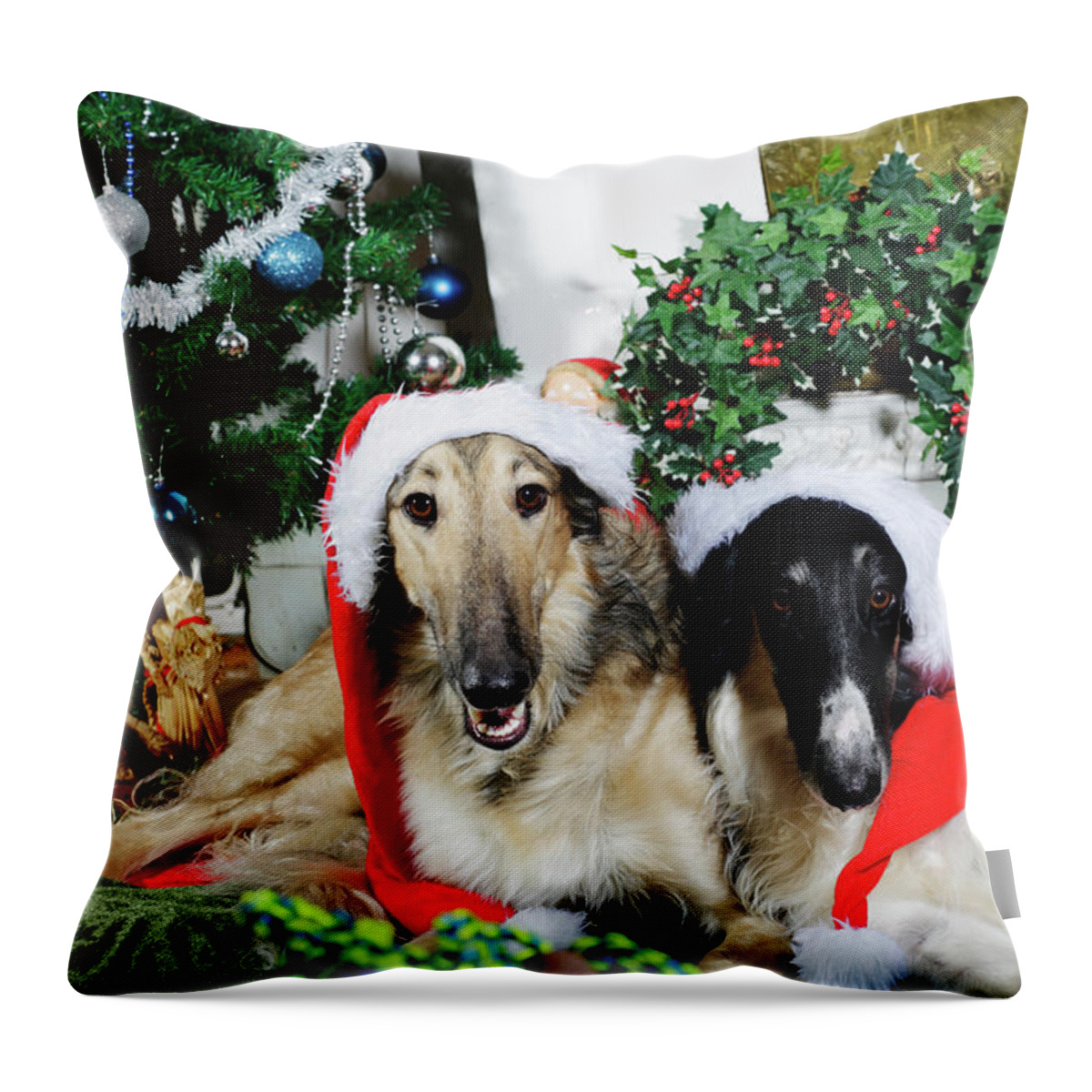 Dogs Throw Pillow featuring the photograph Borzoi puppies wishing a merry christmas by Christian Lagereek