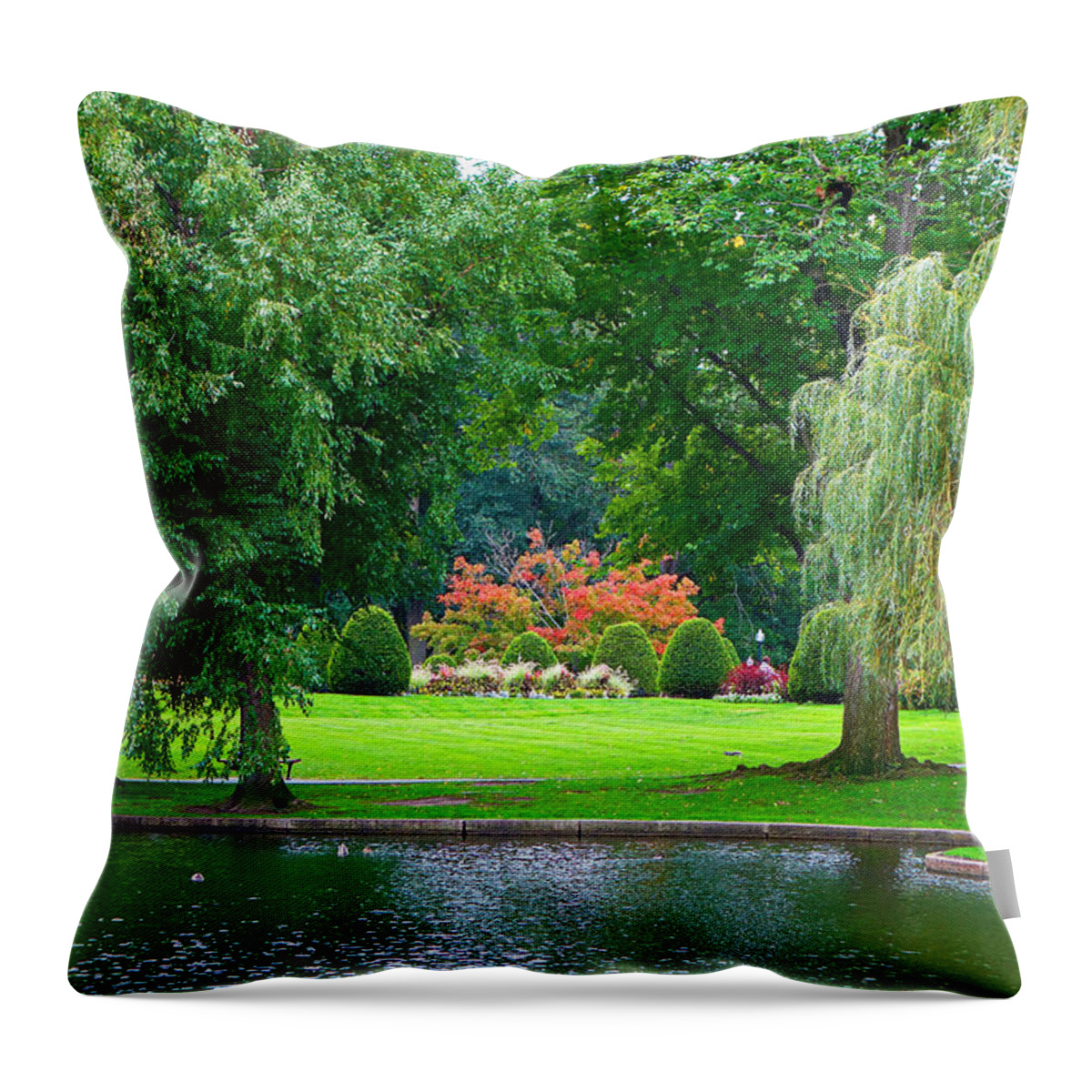 Boston Throw Pillow featuring the photograph Boston Common Study 3 by Robert Meyers-Lussier