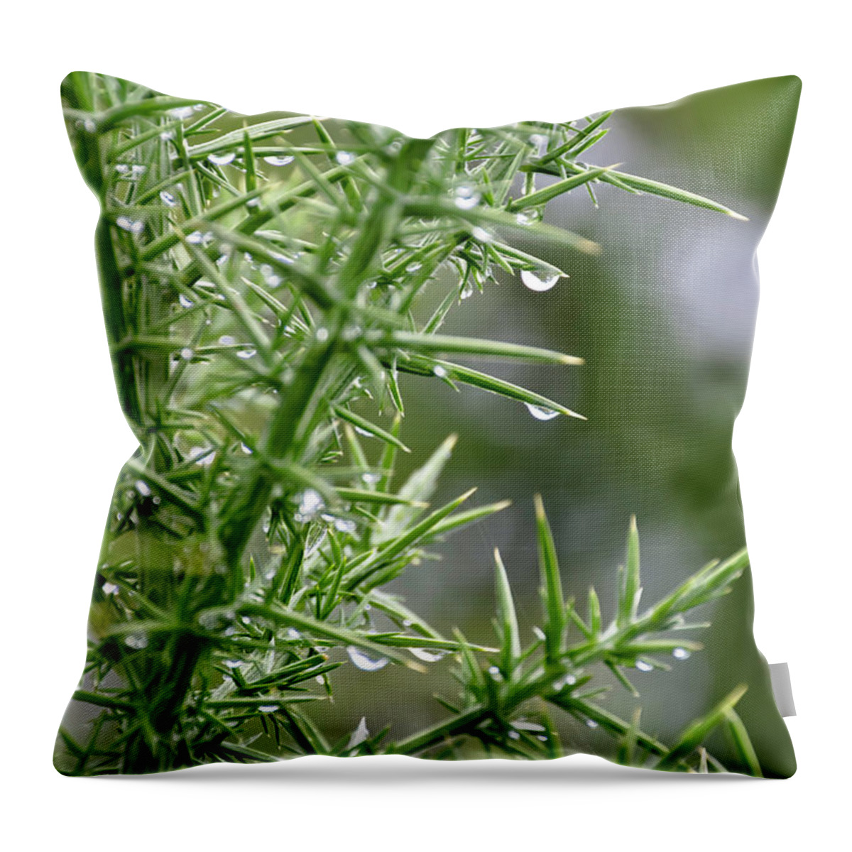 Botanical Throw Pillow featuring the photograph Botanical Beauty by Yurix Sardinelly