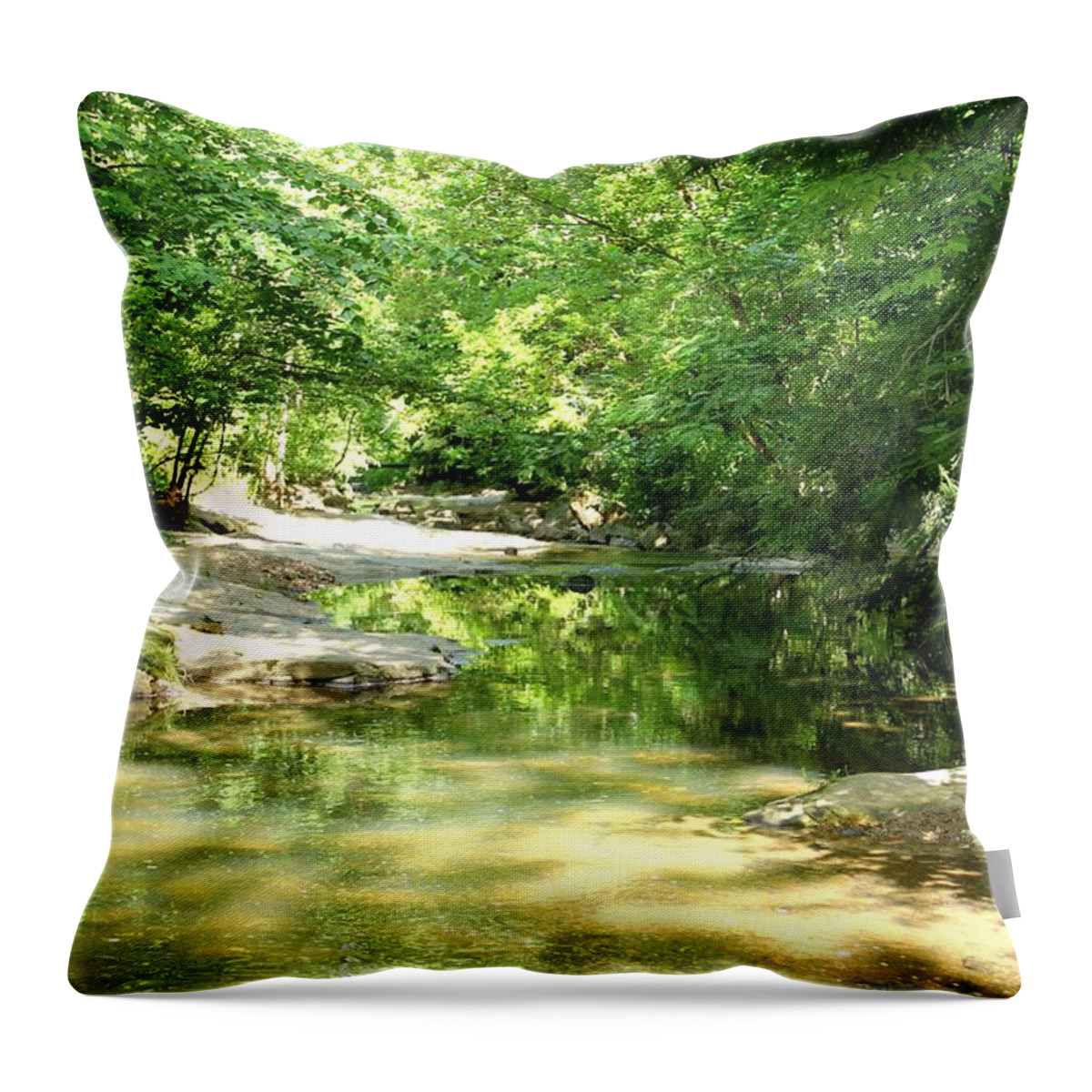 Stream Throw Pillow featuring the photograph Botanical Gardens Stream by Allen Nice-Webb