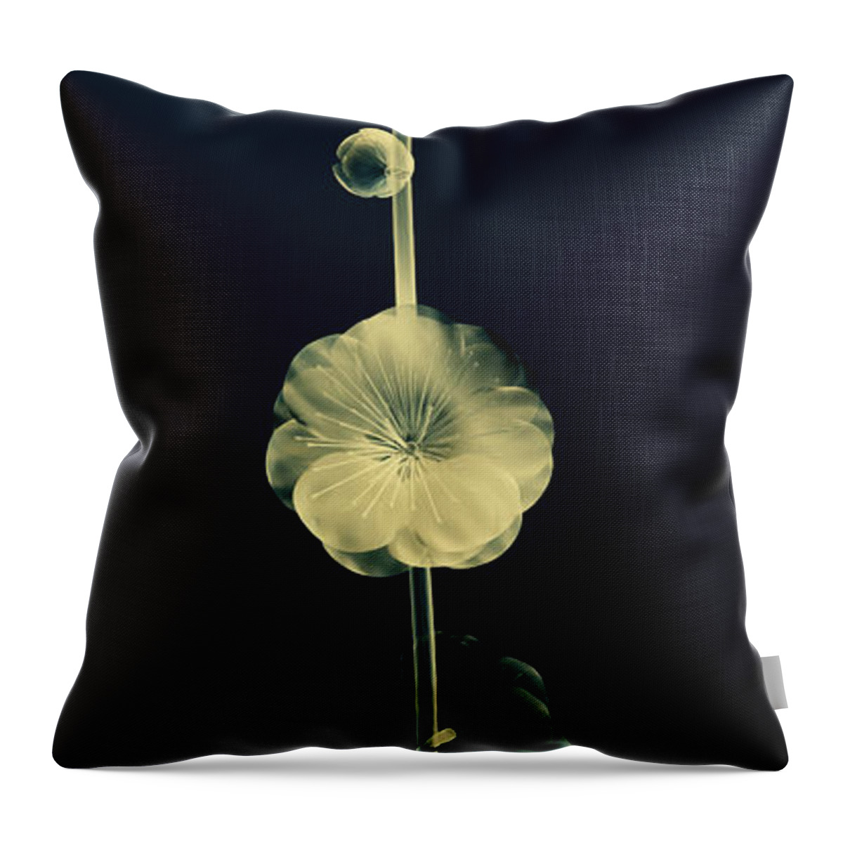 Art Throw Pillow featuring the digital art Botanical Study 6 by Brian Drake - Printscapes
