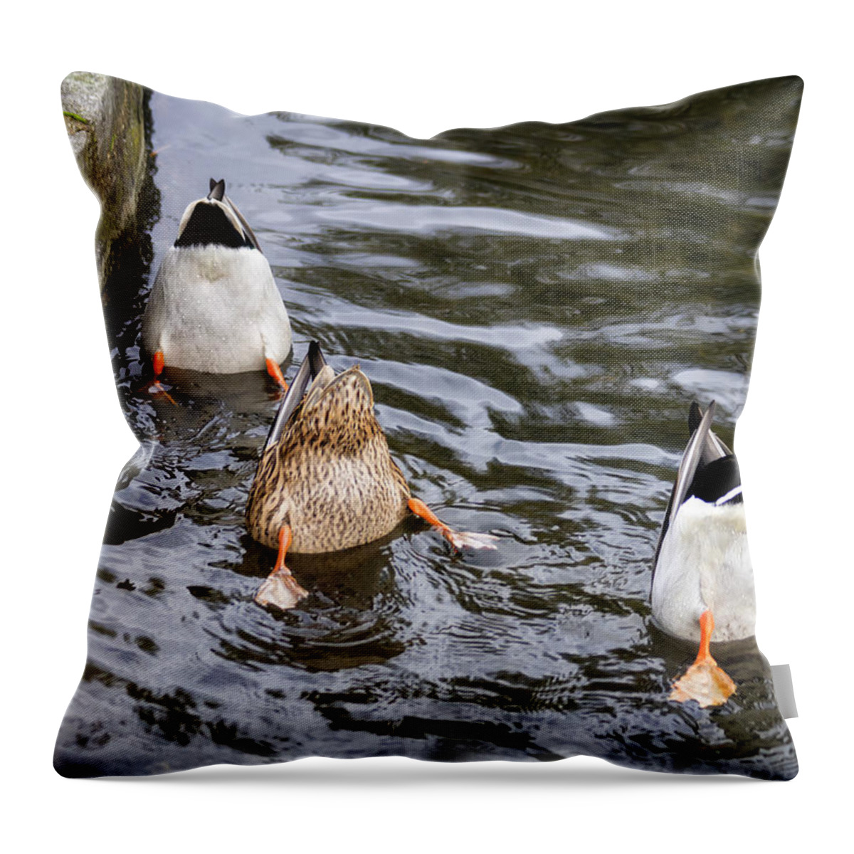 Duck Throw Pillow featuring the photograph Bottoms Up by Shirley Mitchell
