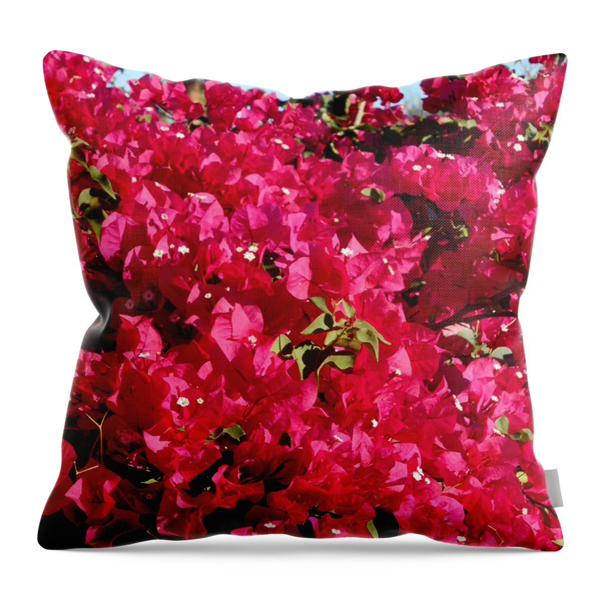 Flowers Throw Pillow featuring the photograph Bougainvillas 4 by Ron Kandt